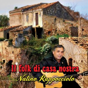 Download track Ci Voli Arti Natino Rappocciolo