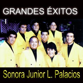 Download track Veneno / Arrepientete / Mujer Difícil Sonora Junior L. Palacios