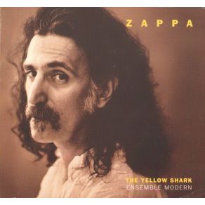Download track Times Beach II Frank Zappa