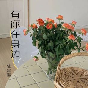 Download track 候鸟 林建鹏