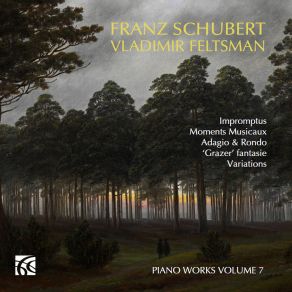 Download track Variations On A Theme Of Hüttenbrenner, D. 576: Variation VII. - Variation XIII. Vladimir Feltsman