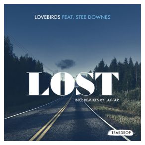 Download track Lost (Lay-Far Dub Mix) Stee Downes, The Lovebirds