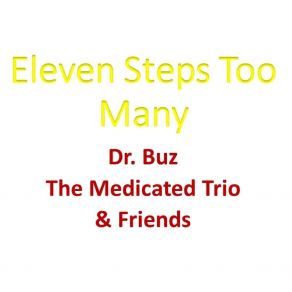 Download track 11 Steps Too Many Dr. Buz