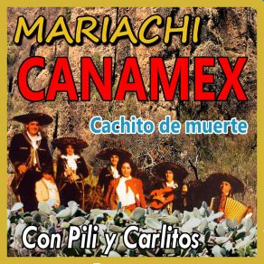 Download track Dos Corazones Mariachi Canamex