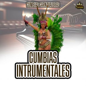 Download track El Pajaro Chahui Instrumentales