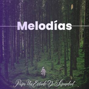 Download track Bruma De Calma Joaquín Melodías Relajantes