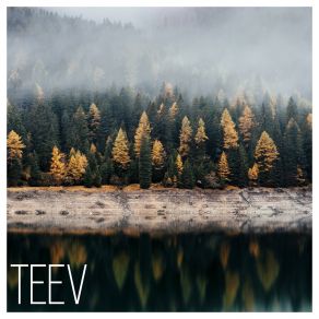 Download track Blauwarm Teev