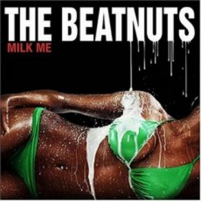Download track Rock N Roll (Interlude) The Beatnuts