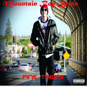 Download track In'transition Mountain Boy Beats