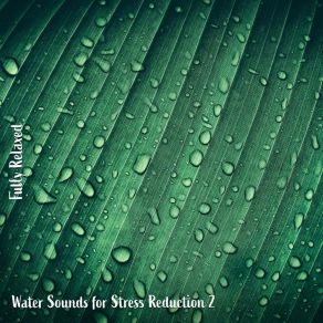 Download track Water Sounds For Stress Reduction, Pt. 16 Steve Brassel