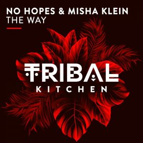 Download track The Way (Original Mix) No Hopes