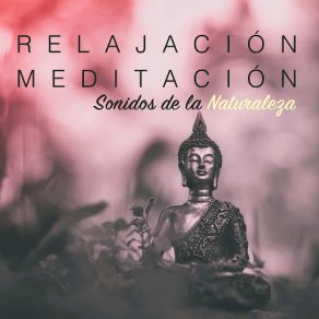 Download track Meditación De Paz Relajacion Del MarAgua Del Mar