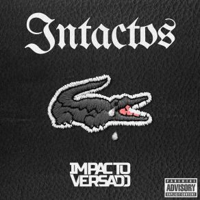 Download track Crocodilo Dundee Impacto Versado