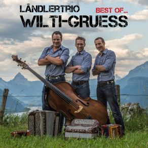 Download track Dr Letscht Wilti-Gruess