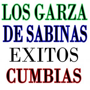 Download track Recuerdo Perdido Los Garza De Sabinas