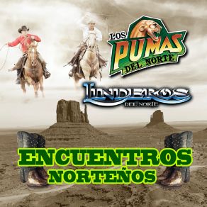 Download track Morenita De San Luis Potosi Los Pumas Del Norte