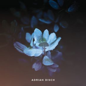 Download track Missing Earth Adrian Disch