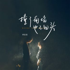 Download track 撞了南墙也不回头 (伴奏) 李发发