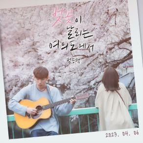 Download track Cherry Blossoms Blooming In Yeouido Beom Seung Hyuk