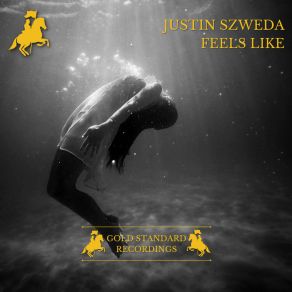 Download track Feels Like (Radio Edit) Justin Szweda