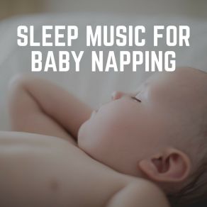 Download track Bingo, Pt. 24 Baby Lullaby