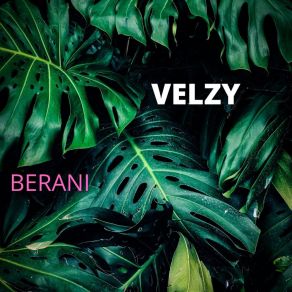 Download track Velzy Berani