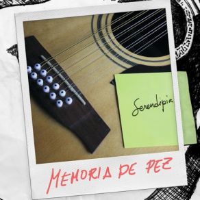 Download track Buscando Tus Pies Memoria De Pez