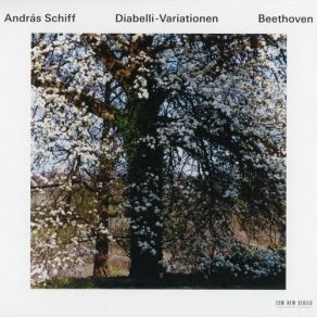 Download track Var. XV - Presto Scherzando András Schiff