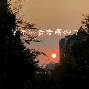 Download track 多年的青春喂狗了 小只芋泥