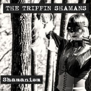 Download track Interlude (Album Mix) The Trippin Shamans