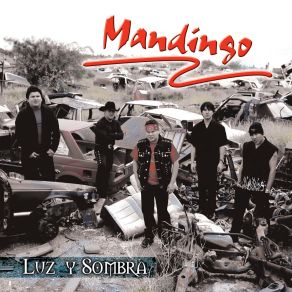 Download track Los Que Se Aman Mandingo