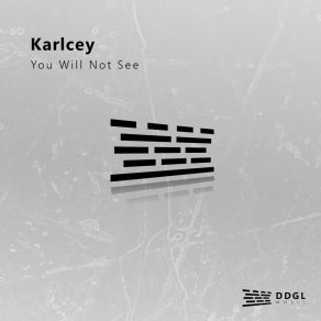 Download track Hot Flash Karlcey