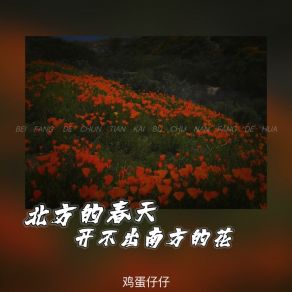 Download track 北方的春天开不出南方的花 鸡蛋仔仔