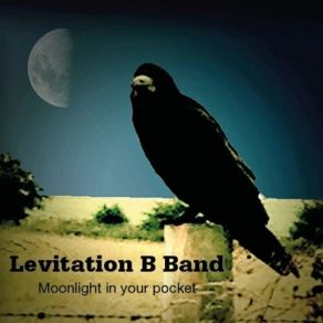 Download track When We Lock Eyes Levitation B Band