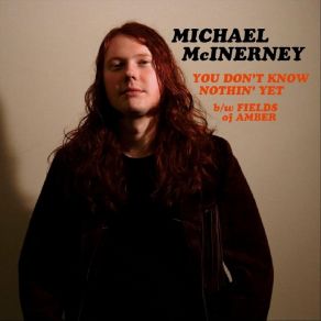 Download track Fields Of Amber Michael McInerney