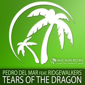 Download track Tears Of The Dragon (Pedro Del Mar Analog Dub Mix) Pedro Del Mar