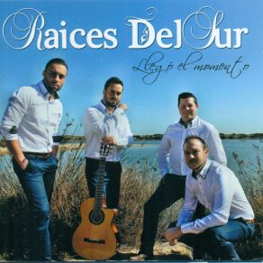 Download track Ahora No Me Puedes Fallar Raices Del Sur