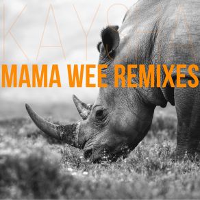 Download track Mama Wee (Afro Warriors & AfroZone Remix) KayshaAfro Warriors