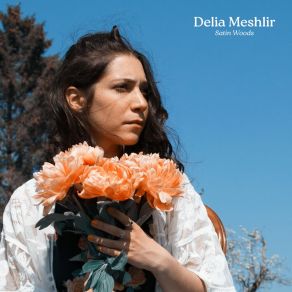 Download track Dirty Colors Delia Meshlir