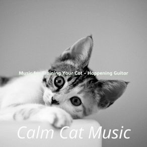 Download track Background For Cats Calm Cat Music