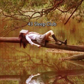 Download track Babies Silence Ocean Waves For Sleep