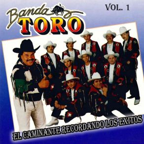 Download track El Gavilan Banda Toro