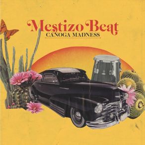 Download track Find A Better Way Mestizo BeatTerin Ector