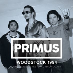 Download track Master Of Puppets (Live At Woodstock '94, Winston Farm, Saugerties, NY 1994) Primus