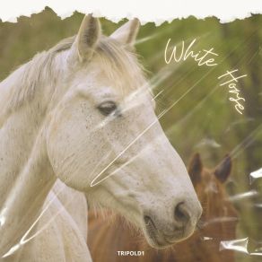 Download track White Horse (Radio Edit) Tripold1