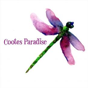 Download track When You Come Around Cootes Paradise