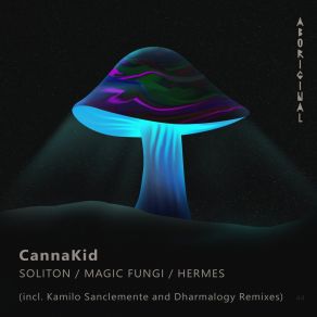 Download track Soliton (Dharmalogy Remix) CannakidDharmalogy