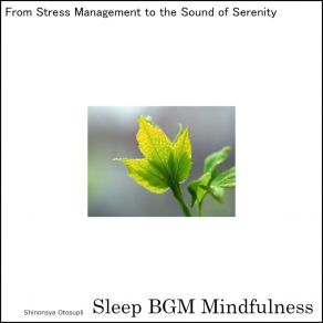 Download track Whispers Of Intimate Neuro Healing Sleep BGM Mindfulness