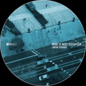 Download track What If Bees Dissapear Linear Straight