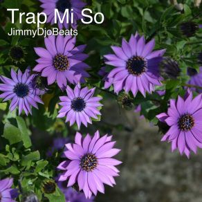 Download track Trap Mi So Jimmydjobeats